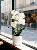 1pc White Artificial Phalaenopsis Orchid Potted Plant, Suitable For Year-Round Indoor Home Decor